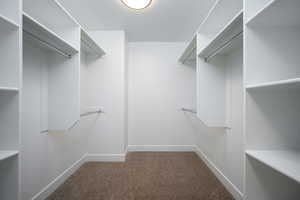 Walk in closet featuring carpet flooring