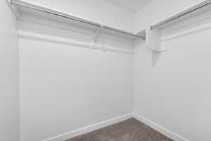 Spacious closet with dark colored carpet