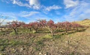 View of nature with a rural view