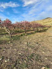 Exterior space with a rural view