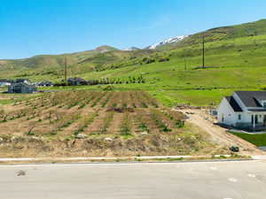 Drone / aerial view with a mountain view and a rural view