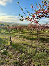 View of nature featuring a rural view