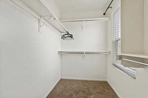 Walk in closet featuring carpet floors