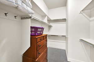 Walk in closet with dark colored carpet