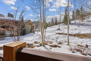 View of snowy yard