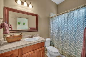 Bathroom featuring vanity, toilet, and a shower with curtain