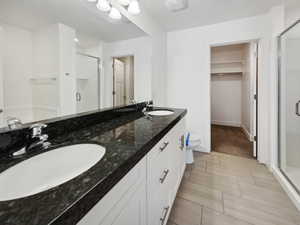 Bathroom featuring a walk in closet, a sink, and a shower stall