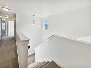 Staircase featuring carpet floors, plenty of natural light, visible vents, and baseboards