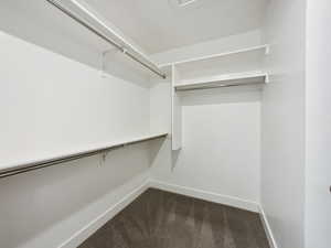 Spacious closet featuring dark carpet