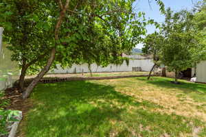 View of fenced backyard
