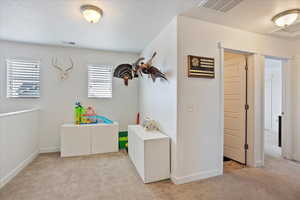 Recreation room featuring light carpet, baseboards, and visible vents