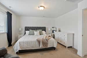 Primary bedroom featuring light colored carpet, visible vents, and baseboards