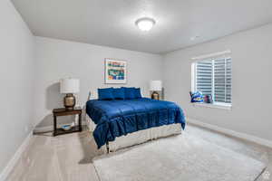 Bedroom featuring carpet, visible vents, a textured ceiling, and baseboards