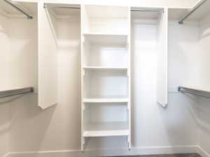 Spacious closet featuring carpet floors