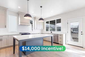 Kitchen featuring stainless steel appliances, premium range hood, a kitchen island, a sink, and light countertops