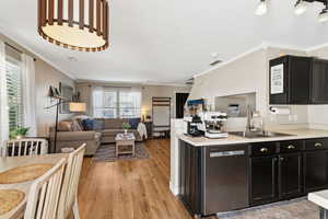 Kitchen featuring dark cabinets, open floor plan, a sink, and stainless steel dishwasher