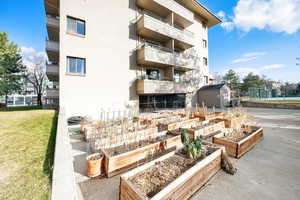 Community garden boxes.