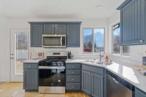 Kitchen with stainless steel appliances, light wood-style floors, light countertops, and a sink