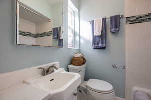 Full bathroom featuring toilet, a shower, and a sink