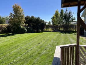 View of yard featuring a deck