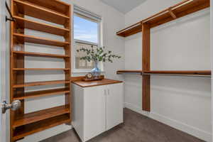 Spacious closet with dark carpet