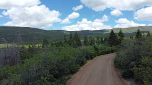 Mountain view featuring a wooded view