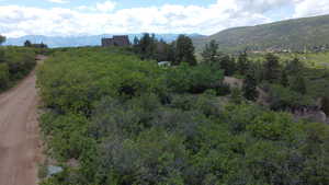 View of mountain feature with a wooded view