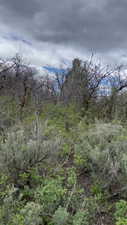 View of landscape with a view of trees