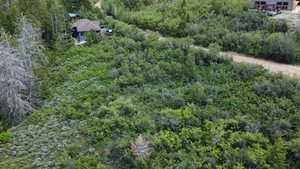 Aerial view with a wooded view