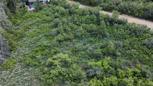 Aerial view with a forest view