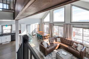 Living area featuring dark wood-style floors, high vaulted ceiling, and a healthy amount of sunlight