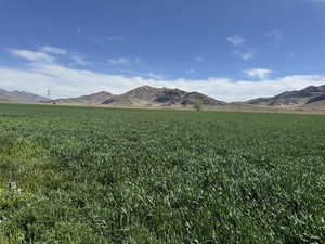 Mountain view with a rural view