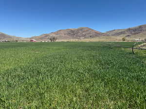 Mountain view featuring a rural view