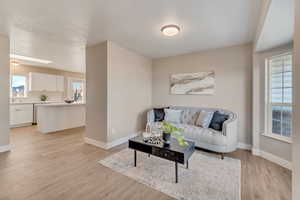 Living area featuring light wood-type flooring, baseboards, and a skylight