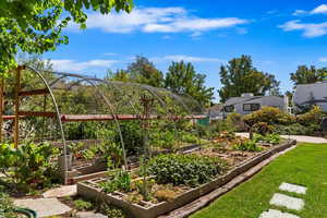 View of yard with a garden