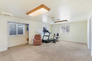 Basement Family Room (alt view)