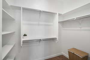 Spacious closet featuring dark carpet