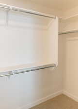 Spacious closet featuring carpet flooring