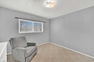 Bedroom room featuring carpet floors, baseboards, and a textured ceiling