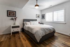 Lower level guest bedroom