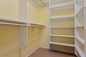 Walk in closet featuring carpet flooring and custom shelves