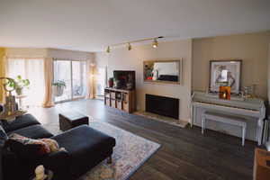 Living room featuring a fireplace with raised hearth, track lighting, and wood finished floors