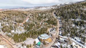 Drone / aerial view with a mountain view and a wooded view