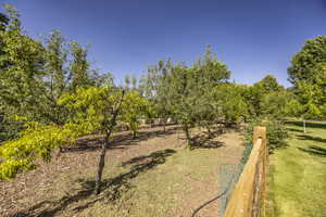 View of yard featuring fence