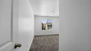 Interior space featuring carpet flooring, a textured ceiling, and baseboards