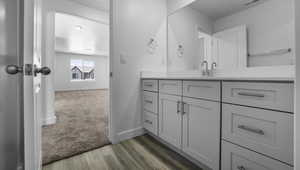 Bathroom with baseboards, wood finished floors, and vanity