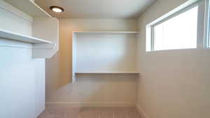 Spacious closet with carpet floors