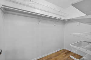 Walk in closet featuring a sink and wood finished floors