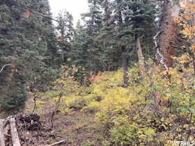 View of landscape