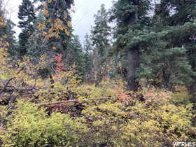 Exterior space featuring a forest view